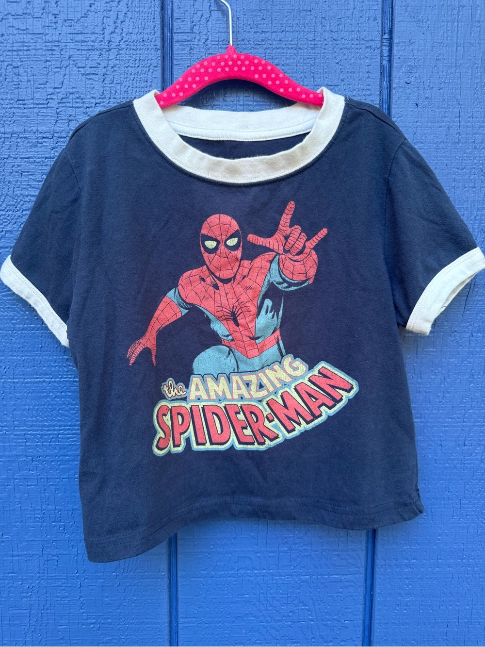 The Amazing Spider-Man Graphic Tee - Blue & Red